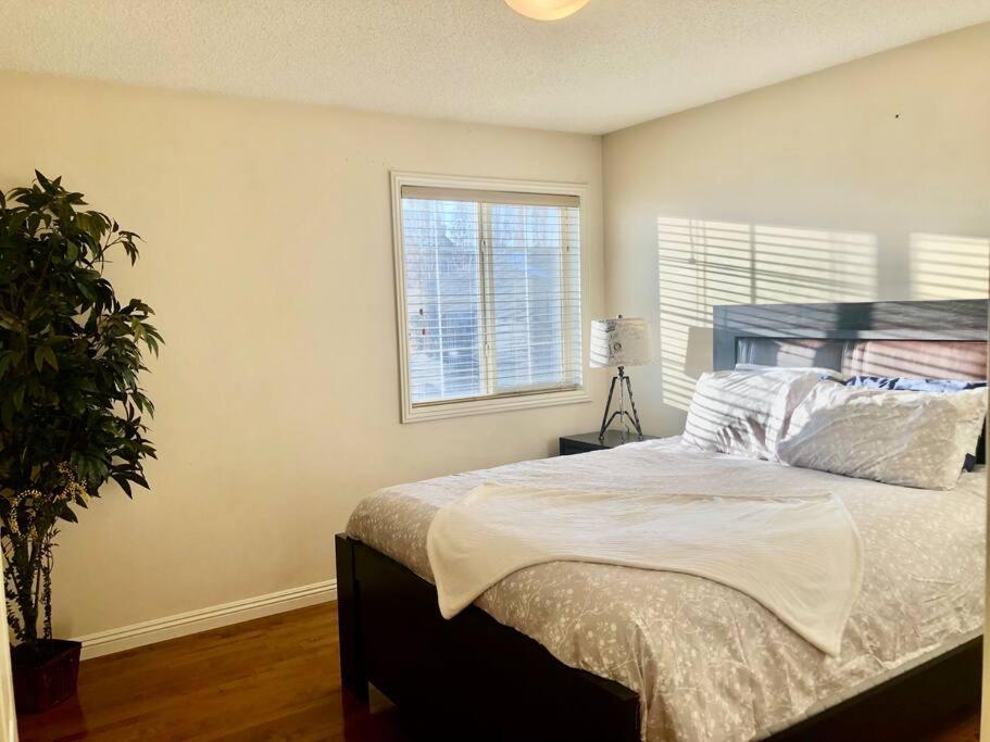 2500 Sq House In Springbank Hill Bl 261818 Vila YYC Exterior foto